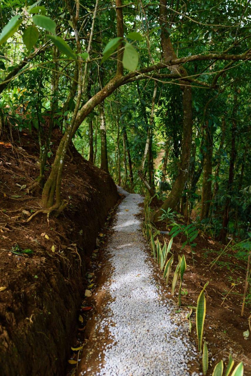Volcano Gold Loft La Fortuna Buitenkant foto