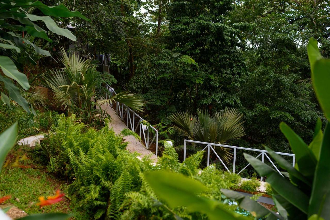 Volcano Gold Loft La Fortuna Buitenkant foto