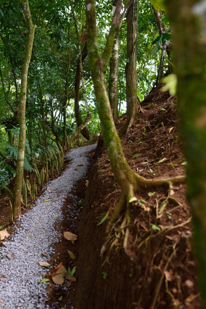 Volcano Gold Loft La Fortuna Buitenkant foto